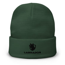 Load image into Gallery viewer, Black Lab, Labrador Dog Lovers Hat | j and p hats