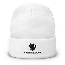 Load image into Gallery viewer, Black Lab, Labrador Dog Lovers Hat | j and p hats