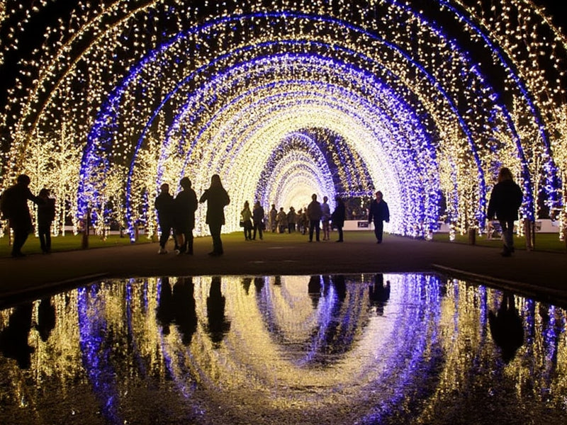 Light Trail at Trentham Gardens - Full Information Here